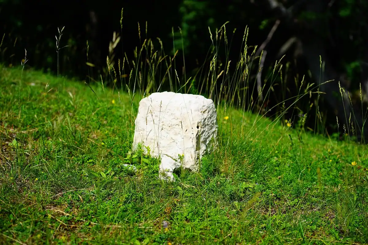 Bornă albă de piatră într-o iarbă înaltă, semn de hotar al unei parcele