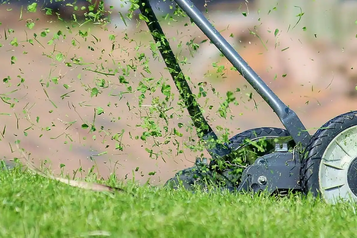 Mașină manuală de tuns iarba pe un gazon verde, pentru întreținerea curții unei case