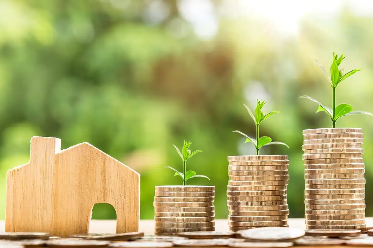 Casă de lemn lângă stive de monede din care cresc plante verzi