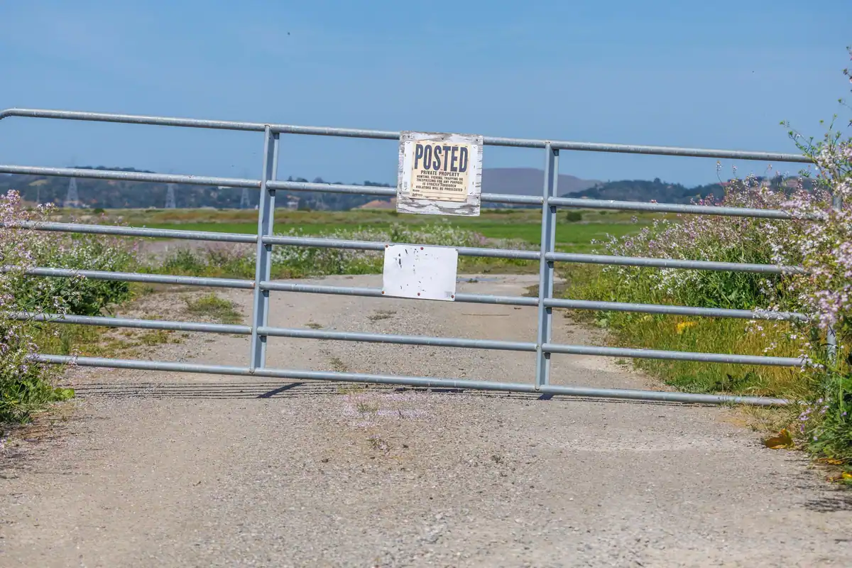 Drum de pământ de la țară, cu o poartă metalică și un indicator, printre flori de câmp