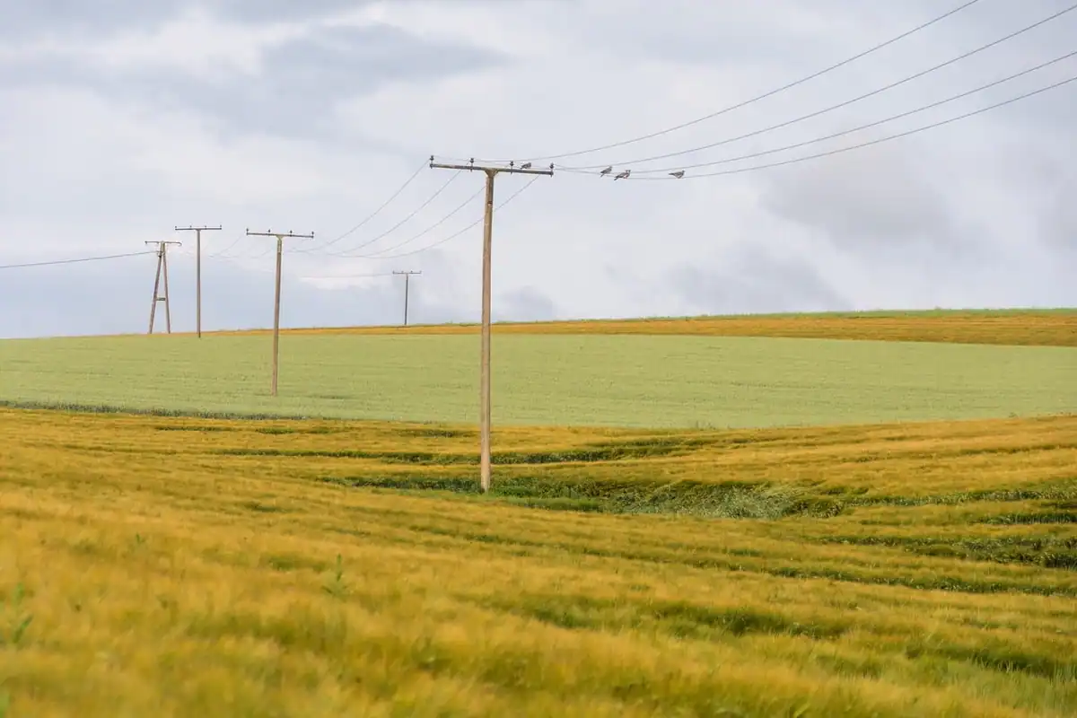 Câmp verde străbătut de stâlpi electrici cu cabluri întinse
